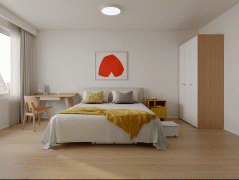 该打算为应届结业生供给“月付、0押金”的专项